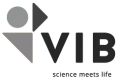 VIB